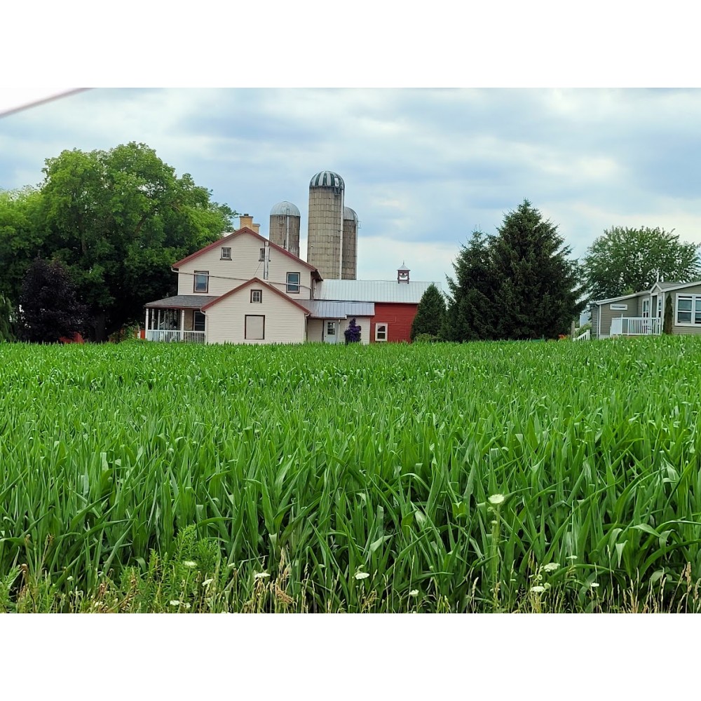 Private Countryside Back Roads Tour - Mon, Wed, Fri (2-23 People)