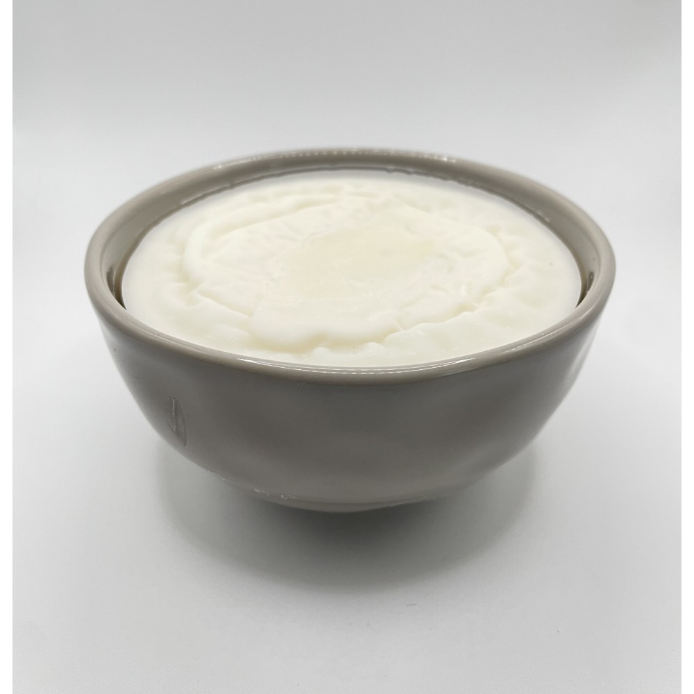 Dish Soap - Solid - Unscented