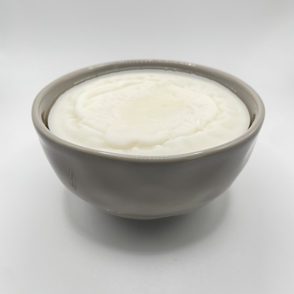 Dish Soap - Solid - Unscented