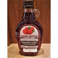 Local Homemade Fruit Syrups (5 varieties)